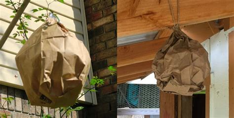 fake hornets nest paper bag